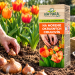 Prípravok NATURA na morenie okrasných cibuľovín 100 ml 